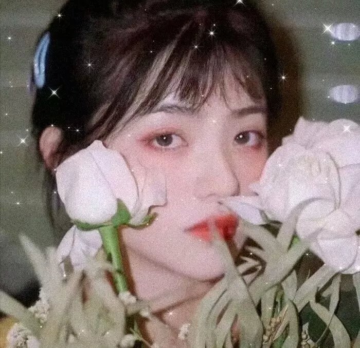 血之荣耀