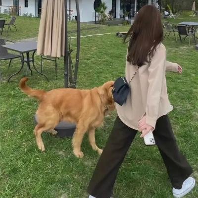 她和她的小鬼们
